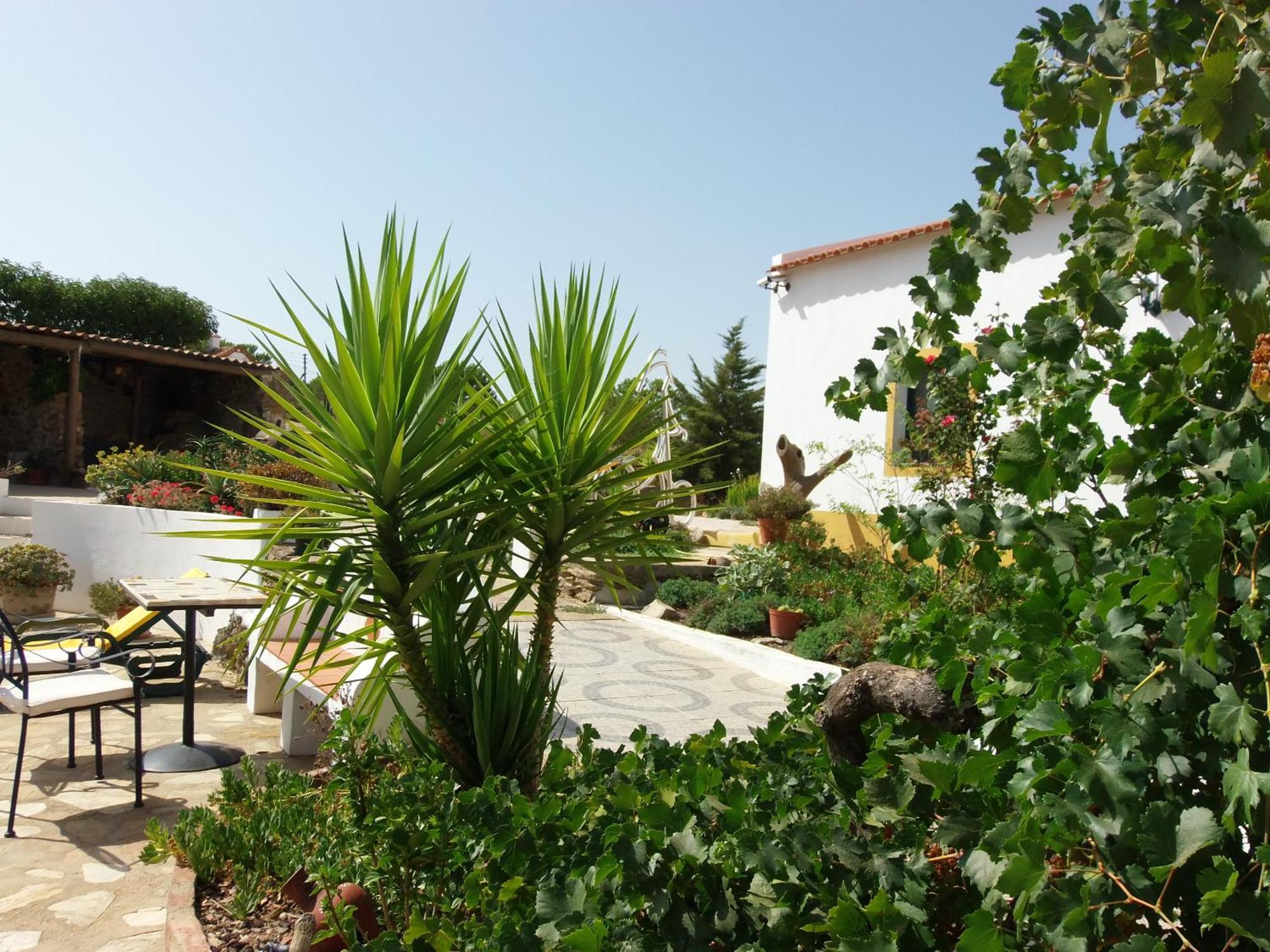 Hostal Ninho Da Poupa Serpa Exterior foto